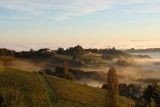 Weingut Riegelnegg Olwitschhof – Weine aus der Südsteiermark