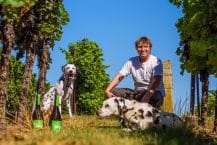 Weingut Der GlücksJäger – Pfalz – Vegane Bio Weine aus Deutschland