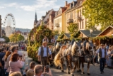 Deutsches Weinlesefest 2026: Termin, Programm & Winzerfestumzug