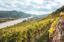 Weingut Domäne Wachau – Beste Weine aus Österreich