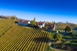 Familienweingut & Buschenschank Oberer Germuth – Südsteiermark – Weine aus der Steiermark