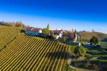 Familienweingut & Buschenschank Oberer Germuth – Südsteiermark – Weine aus der Steiermark