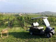 OCT Golf Car Tour – Weingärten Tour Burgenland – Jois am Neusiedlersee