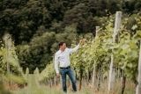 Weingut Gründl Stefan aus Labuttendorf – Weine Steiermark