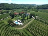 IL RONCAL – Wine & Resort – Weingut – Colle Montebello – Weine aus Italien