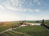 WEINGUT K+K KIRNBAUER – Burgenland – Das PHANTOM