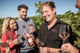 Weingut Klosterhof – Christoph Lösch – Weine aus Deutschland