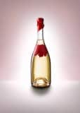 L’Autrichienne – Exklusiver Schaumwein aus Österreich – Zero Dosage von Ebner-Ebenerauer