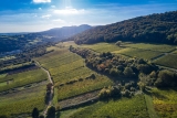 Weingut Bernhart – Weine aus dem Elsass