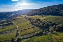 Weingut Bernhart – Weine aus dem Elsass