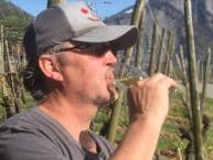 Louis Liesch – Liesch Weinbau GmbH – Biodynamischer Weinbau – Demeter Weine, Trinkreife Raritäten