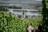 Balthasar Ress Weingut KG – Weine aus dem Rheingau – Deutschland