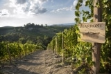 Agricola Gian Piero Marrone – Vini per passione e tradizione – La Morra – Weine aus Italien
