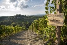 Agricola Gian Piero Marrone – Vini per passione e tradizione – La Morra – Weine aus Italien