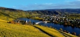Weingut Hoffmann-Simon Piesport, Mosel – Steillagen Rieslingweine