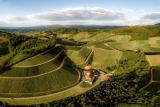 Weingut Andreas Männle – Durbach – Schwarzwald – Wein aus Deutschland