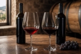 Rioja oder Ribera del Duero? Unterschiede bei Tempranillo, Geschmack & Ausbau