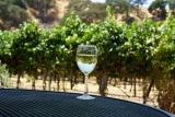 Sauvignon Blanc trocken – Geschmack, Herkunft und Aromenvielfalt