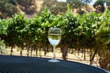 Sauvignon Blanc trocken – Geschmack, Herkunft und Aromenvielfalt