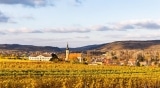 Weingut Schloss Gobelsburg – Österreich