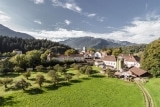 Weingut – Weinkellerei von Tscharner – Schloss Reichenau – Weine aus der Schweiz
