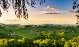 Die Südsteiermark als Weinregion: Ein Juwel des österreichischen Weinbaus