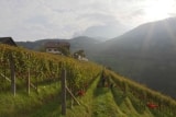 Weingut – Tenuta Ebner in Südtirol – Weine aus Italien