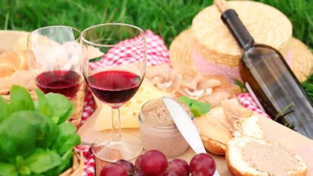 Bester Wein fürs Picknick: leicht, frisch, unkompliziert – Dein Genuss