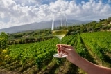 Cò de Fer – Lugana Cò de Fer 2024 – Wein aus Italien – Lugana (Turbiana)