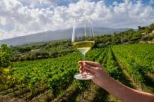 Cò de Fer – Lugana Cò de Fer 2024 – Wein aus Italien – Lugana (Turbiana)