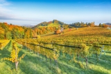 Die beliebtesten Weine der Südsteiermark