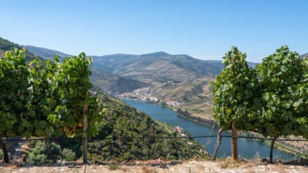 Weinreisen aus dem Fernsehen: Wunderschön, Land & lecker und die spannendsten Weinregionen im TV