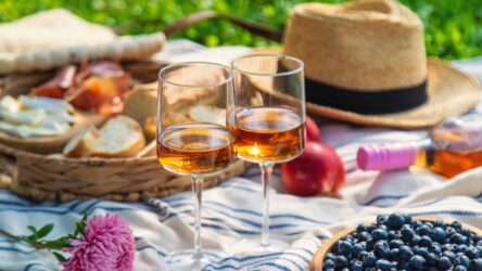 Welcher Wein passt zum Picknick? Käse, Baguette, Antipasti, Obst & kalte Küche