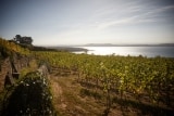 Domaine Saint-Sébaste – Familie Kuntzer – Weine aus der Schweiz