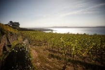 Domaine Saint-Sébaste – Familie Kuntzer – Weine aus der Schweiz
