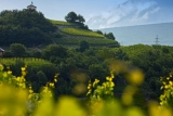 Kellerei Gregor Kuonen – Salgesch – Schweiz