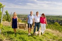 Weingut Fichtenbauer-Mold – Langenlois – Kamptal