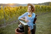 Was sind DAC Weine in Österreich?