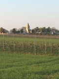 Weingut Tschank – Winzer in Leithaprodersdorf – Österreich