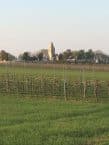 Weingut Tschank – Winzer in Leithaprodersdorf – Österreich