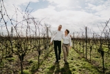 Weingut Galler – Bio Weine vom Bio-Weingut