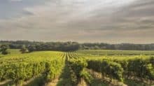 Weingut Domaine Tariquet  – VINS DES CÔTES DE GASCOGNE I.G.P. – BAS-ARMAGNAC A.O.C.
