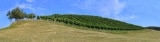 Weinzierlei & Weingarten Buschenschank Lippitz – Granitztal – Österreich