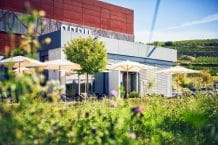 Weingut ABRIL am Kaiserstuhl – Weine aus Deutschland