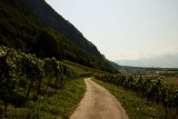 Weingut Familie Hansruedi Adank – Schweiz