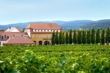 Weingut am Nil – Kallstadt – Riesling & Weine aus Deutschland #seieinlilalöwe