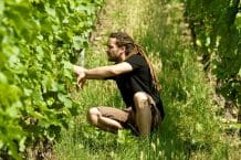 Weingut Dautel – Winzer Christian Dautel – Weine aus Württemberg