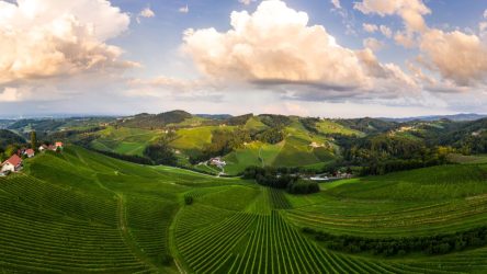 Insolvenz – Wo kann ich noch Domaines Kilger Weine kaufen?