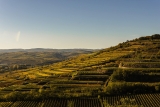 Weingut Eichinger – Birgit & Gloria Eichinger – Winzerin – Traditionsweingüter Österreich