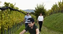 WEINHOF JOSEF SCHARL – St. Anna am Aigen – Österreich